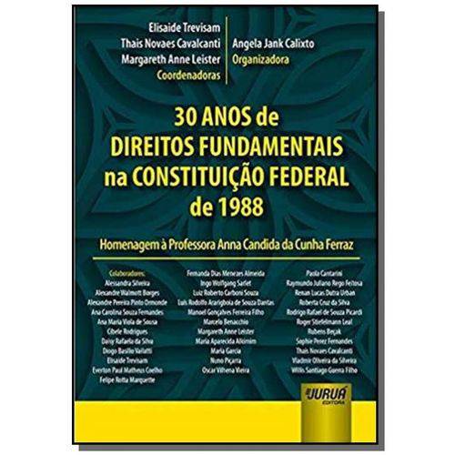 30 Anos de Direitos Fundamentais na Constituição Federal de 1988 - Homenagem a Professora Anna Candi