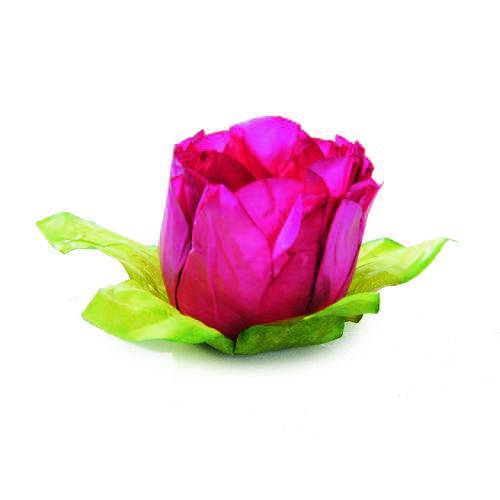 24 Forminhas Doce Tulipa Pink Decoração Festas