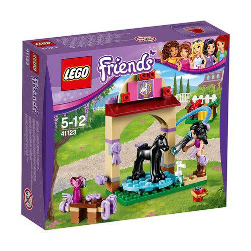 41123 - LEGO Friends - Área de Lavagem do Potro