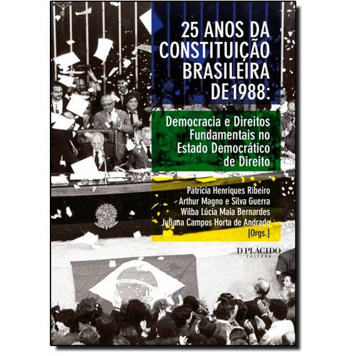 5 Anos da Constituição Brasileira de 1988: Democracia e Direitos Fundamentais no Estado Democrático