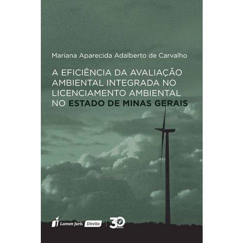 A Eficiência da Avaliação Ambiental Integrada no Licenciamento Ambiental no Estado de Minas Gerais