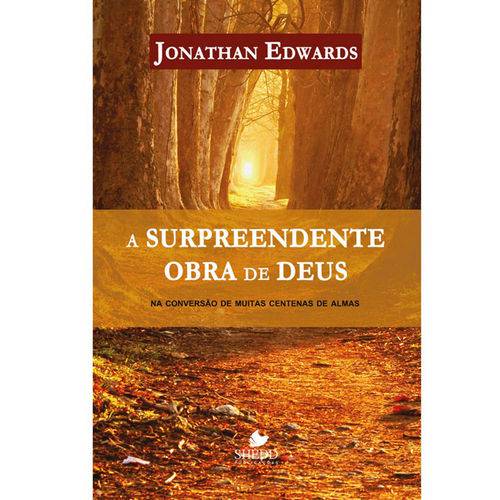 A Surpreendente Obra de Deus - Jonathan Edwards
