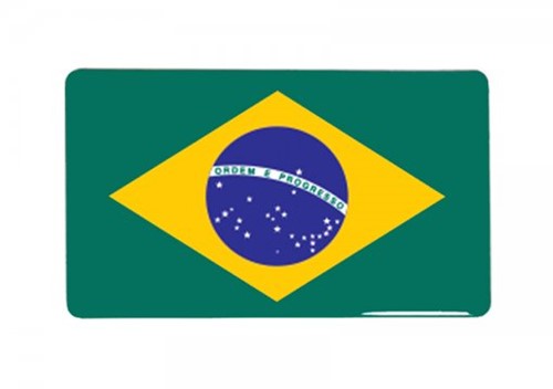 Adesivo Bandeira Resinada Brasil (9x4,5) 2106G