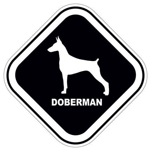 Adesivo Doberman