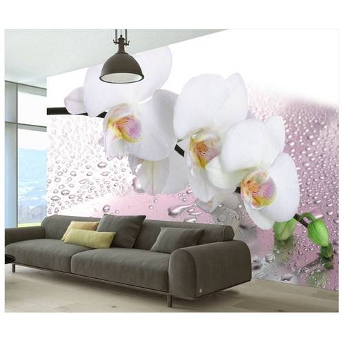 Adesivo Flores Papel de Parede Hd Orquidea 7,3m² Flor 23 Colorido
