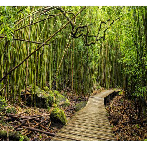 Adesivo Paisagem Floresta Bambu Papel Parede NaturezaGG354