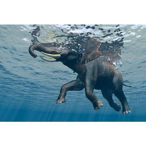 Adesivo Reaplicável Elefante Nadando 120x80cm