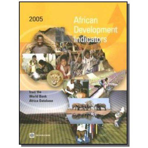 African Development Indicators 2005