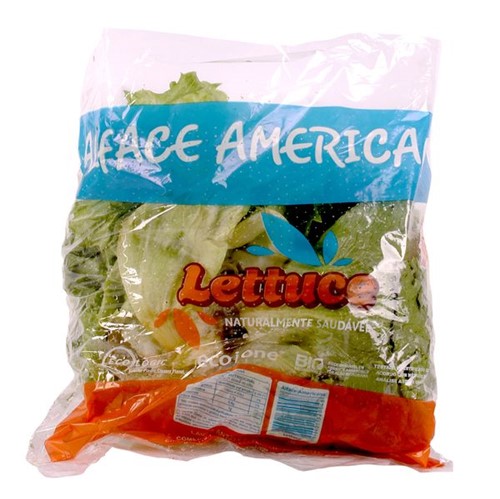 Alface Americana Lettuce Maco