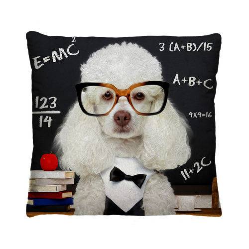 Almofada Decorativa Cachorro de Óculos com Refil 40x40