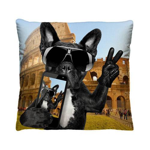 Almofada Decorativa Cachorro na Italia com Refil 40x40