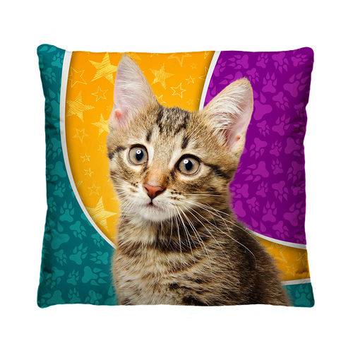 Almofada Decorativa Gato Colorido com Refil 40x40
