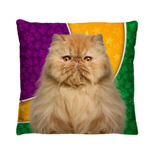 Almofada Decorativa Gato Colorido com Refil 40x40