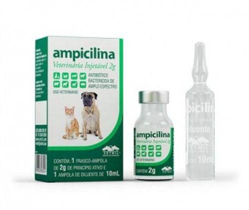 Ampicilina Veterinária Injetável Vetnil - 2 Gr