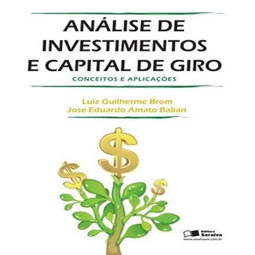 Analise de Investimentos e Capital de Giro - Conceitos e Aplicacoes