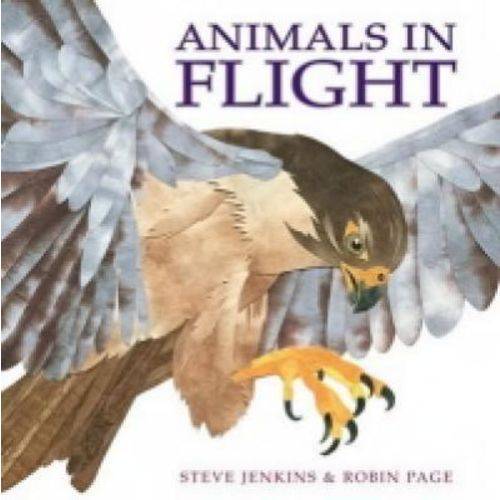 Animals In Flight - Sandpiper