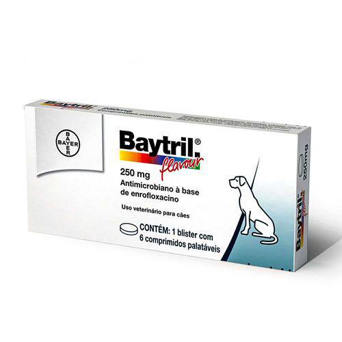 ANTIBIÓTICO Baytril Flavour 250 Mg 6 Comprimidos
