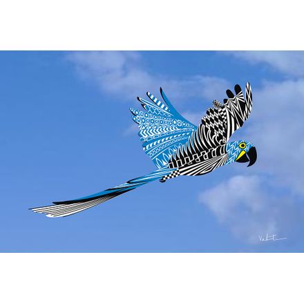 Gravura para Quadros – Arte Arara Azul - 45 X 30 Cm - Papel Fotográfico Fosco