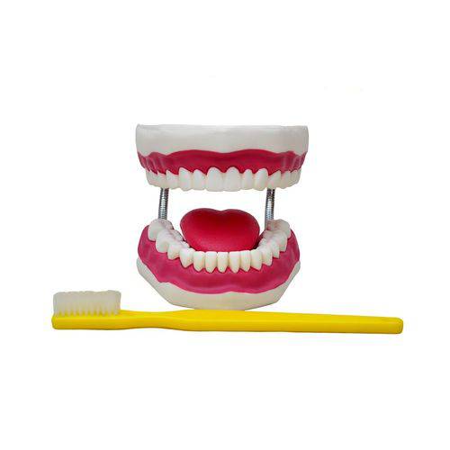 Arcada Dentária Gigante com Língua e Escova Modelo Anatômico