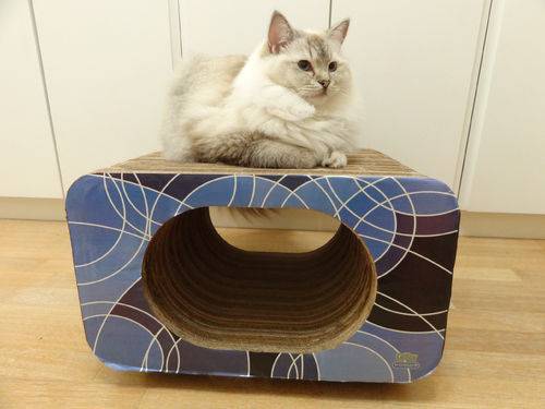 Arranhador e Brinquedo Interativo para Gatos Cat Box - Simples Oval - Geométrico Azul