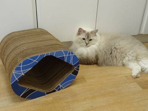 Arranhador e Brinquedo Interativo para Gatos Mini Cat Box - Geométrico Azul