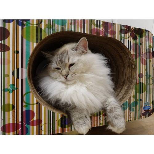 Arranhador Pet Games Cat Box Simples Oval Borboletas