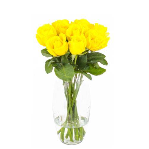 Arranjo de 12 Rosas Amarelas Nacionais em Vaso