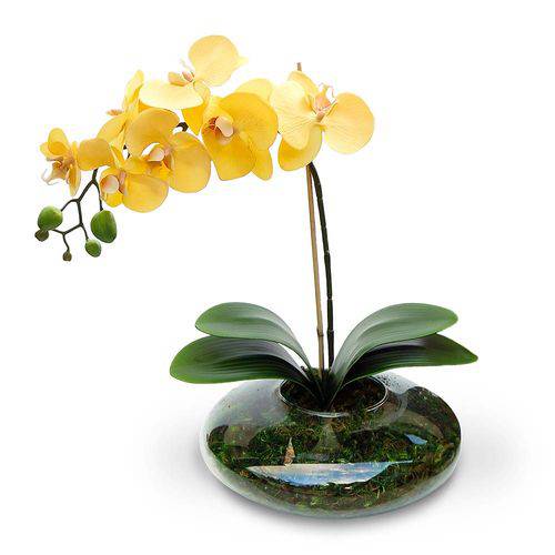 Arranjo de Flor Artificial Orquidea Amarela Cachepot Vidro Ikebana 45x25 Cm