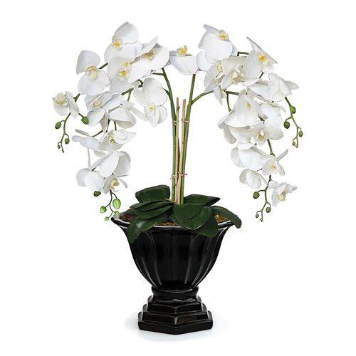 Arranjo de Flores Artificiais Orquideas Brancas Cachepot Preto 60x30 Cm