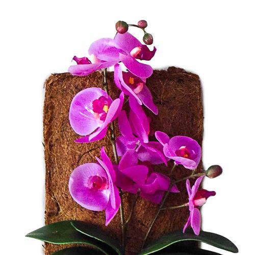 Arranjo de Flores Artificiais Orquideas Roxas no Vaso de Parede em Xaxim