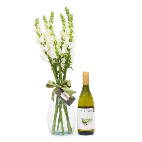Arranjo de Flores Boca de Leão Branca + Vinho Branco Altosur