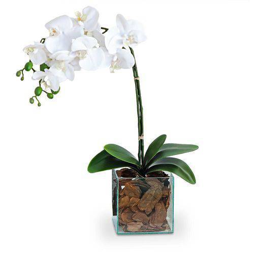 Arranjo de Orquidea Branca no Vaso de Vidro Transparente 45 Cm