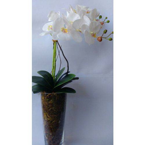 Arranjo de Orquídea Branca Toque Real com Vaso de Vidro 50 Cm