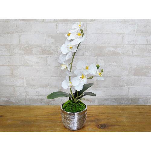 Arranjo de Orquídea em Silicone com Vaso de Cerâmica e Musgo
