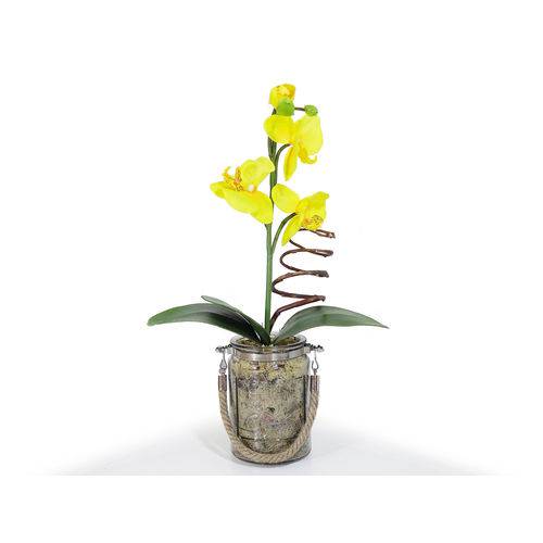Arranjo Orquídea Amarela Vaso de Vidro Fumê C/ Cordão 46cm