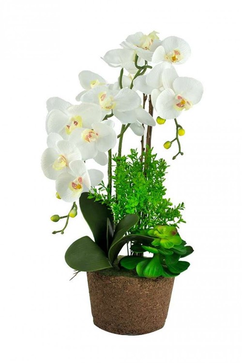 Arranjo Orquídea Pharenopolis 74cm - Occa Moderna