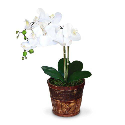 Arranjo Orquideas Brancas 50x20 Cm