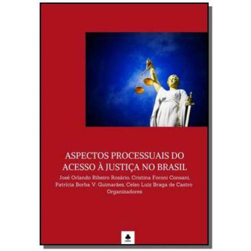 Aspectos Processuais do Acesso a Justica no Brasil