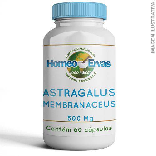 Astragalus Membranaceus 500mg 60 Cápsulas