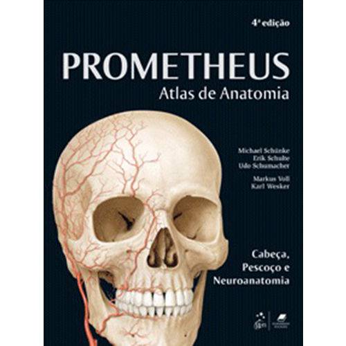 Atlas de Anatomia 3 Volumes