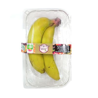 Banana Nanica Orgânica 600g - Terra Fruta