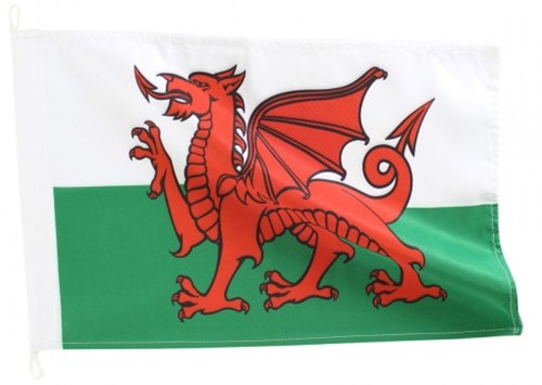 Bandeira de Gales (País de Gales)
