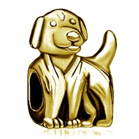 Berloque Cachorro Riscado - Flor de Prata Dourado
