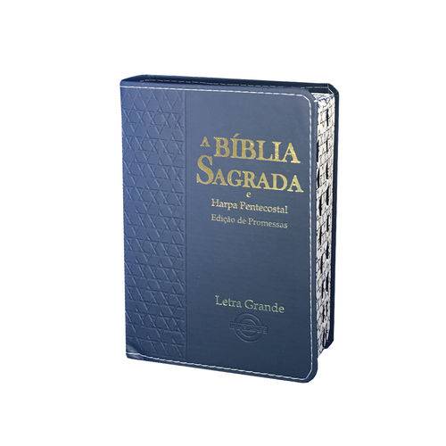 Bíblia com Harpa Letra Grande Estrela de Davi - Edição de Promessas - 12X16 Cm