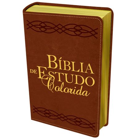 Bíblia de Estudo Colorida Letra Grande NVI Marrom