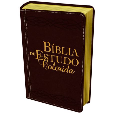 Bíblia de Estudo Colorida Letra Grande NVI Vinho