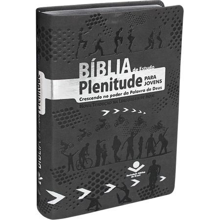 Bíblia de Estudo Plenitude para Jovens Cinza
