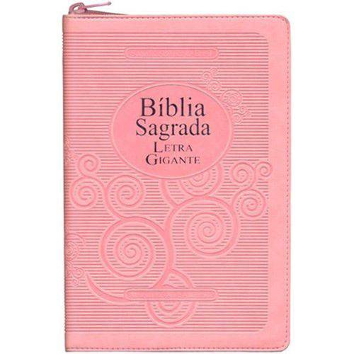 Bíblia Grande - Letra Gigante - Revista e Atualizada - Índice Lateral e Zíper (Rosa)