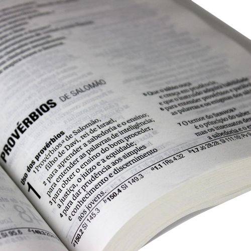 Biblia Nova Almeida - Brochura Letra Grande - Tradicional