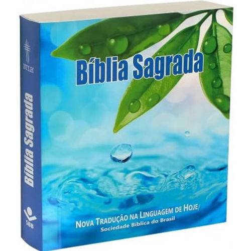 Biblia Sagrada - Edicao Compacta - Capa Azul